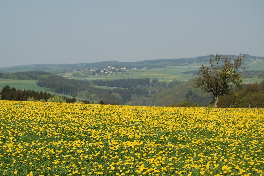 Landgasthaus Pfahl Wershofen Esterno foto