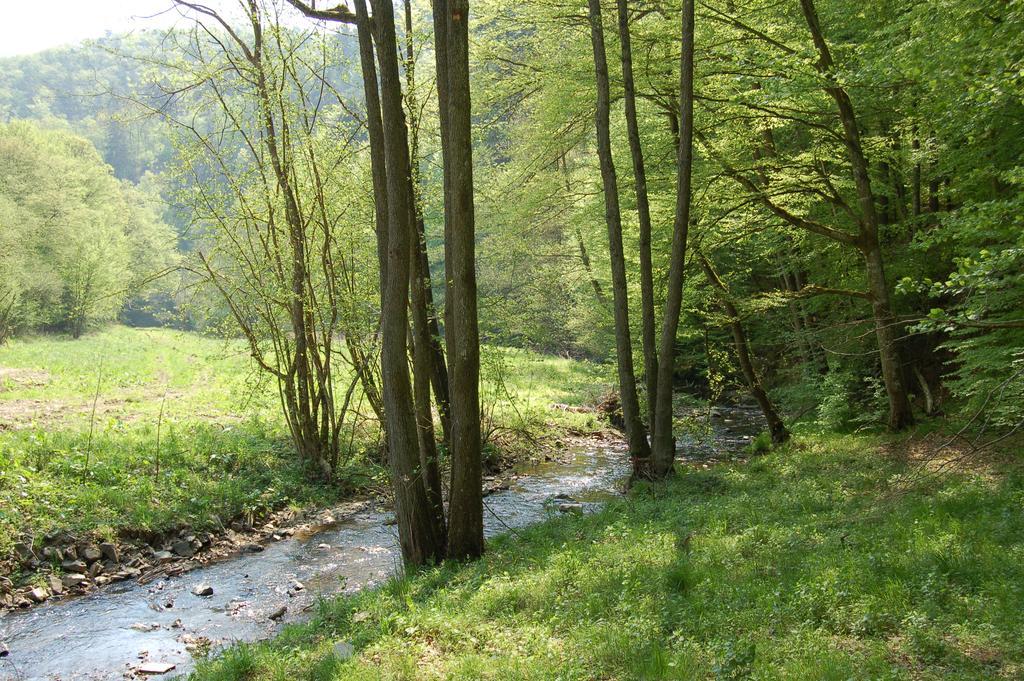 Landgasthaus Pfahl Wershofen Esterno foto